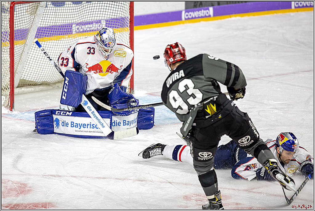 DEL; Koelner Haie - EHC Red Bull Muenchen, 25.11.2018